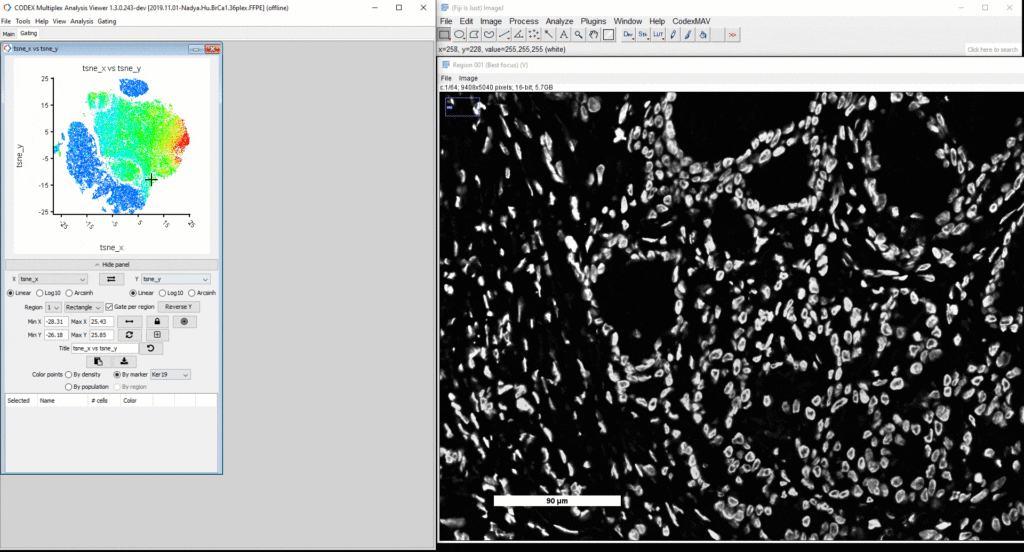 MAV TSNE crop