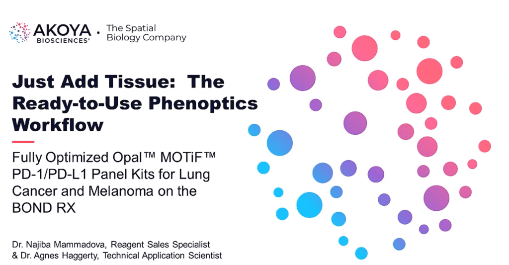 Just Add Tissue: The Ready-to-Use Phenoptics Workflow