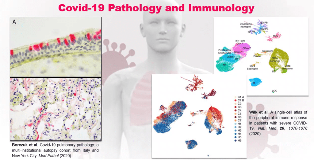 Innate Pharma Webinar Thumbnail v1