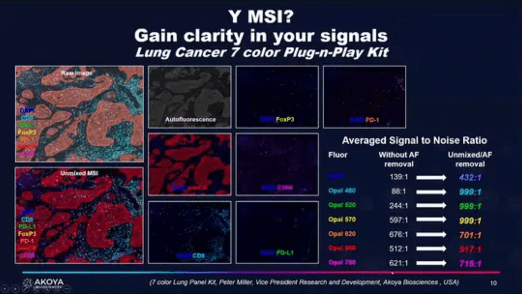 webinar thumbnail wrum high content imaging 2