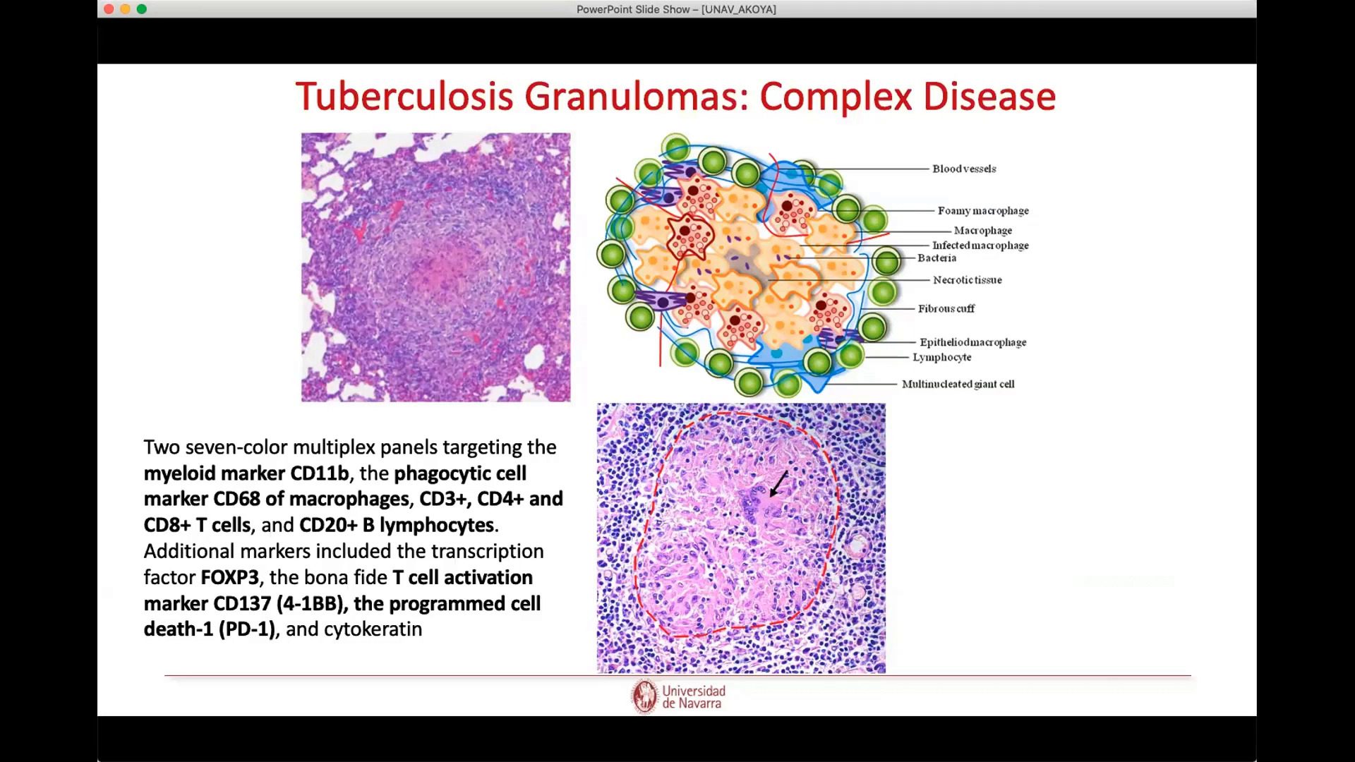 video-european-user-group-meeting-2020-biomarker-research-focus