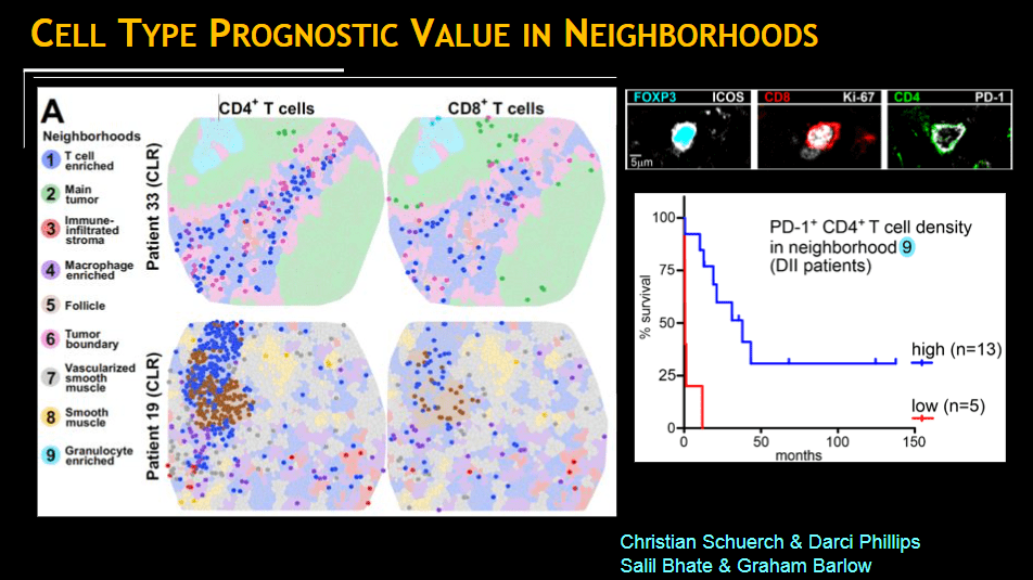 webinar thumbnail nolan cell neighborhoods