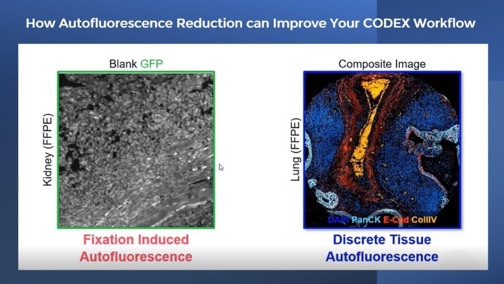 Webinar Thumbnail