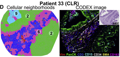 cell neighborhoods