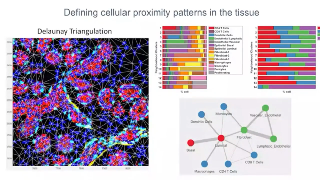 webinar thumbnail human cell atlas