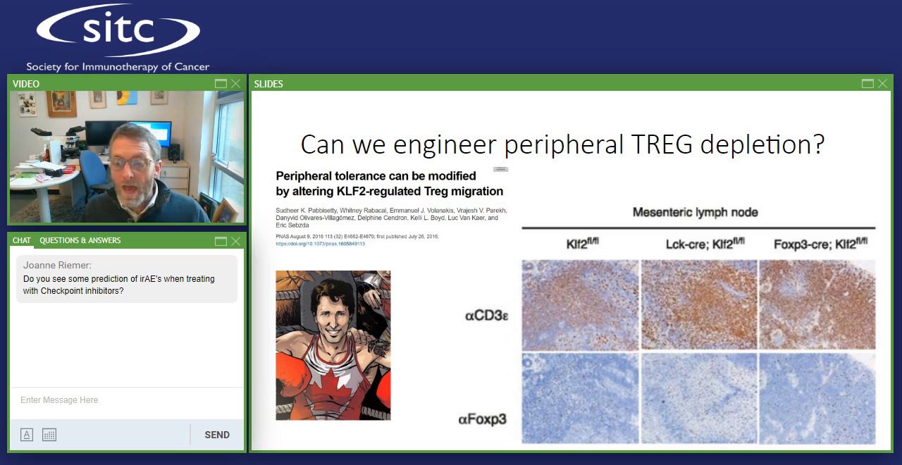 video-t-i-m-e-and-space-to-predict-response-in-immuno-oncology