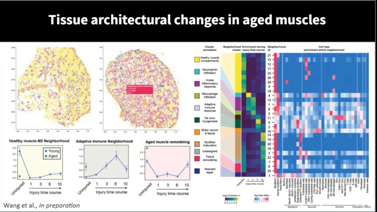 video-enriching-spatial-proteomic-data-with-parallel-cite-seq-analysis-elucidates-multiomic-changes-with-aging