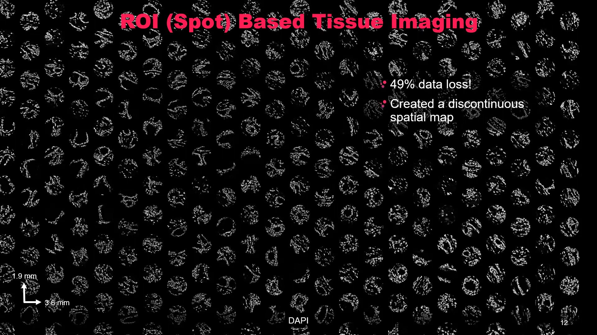 video-spatial-biology-europe-2021-broaching-the-next-frontier-of-cellular-identification-with-single-cell-spatial-phenotyping