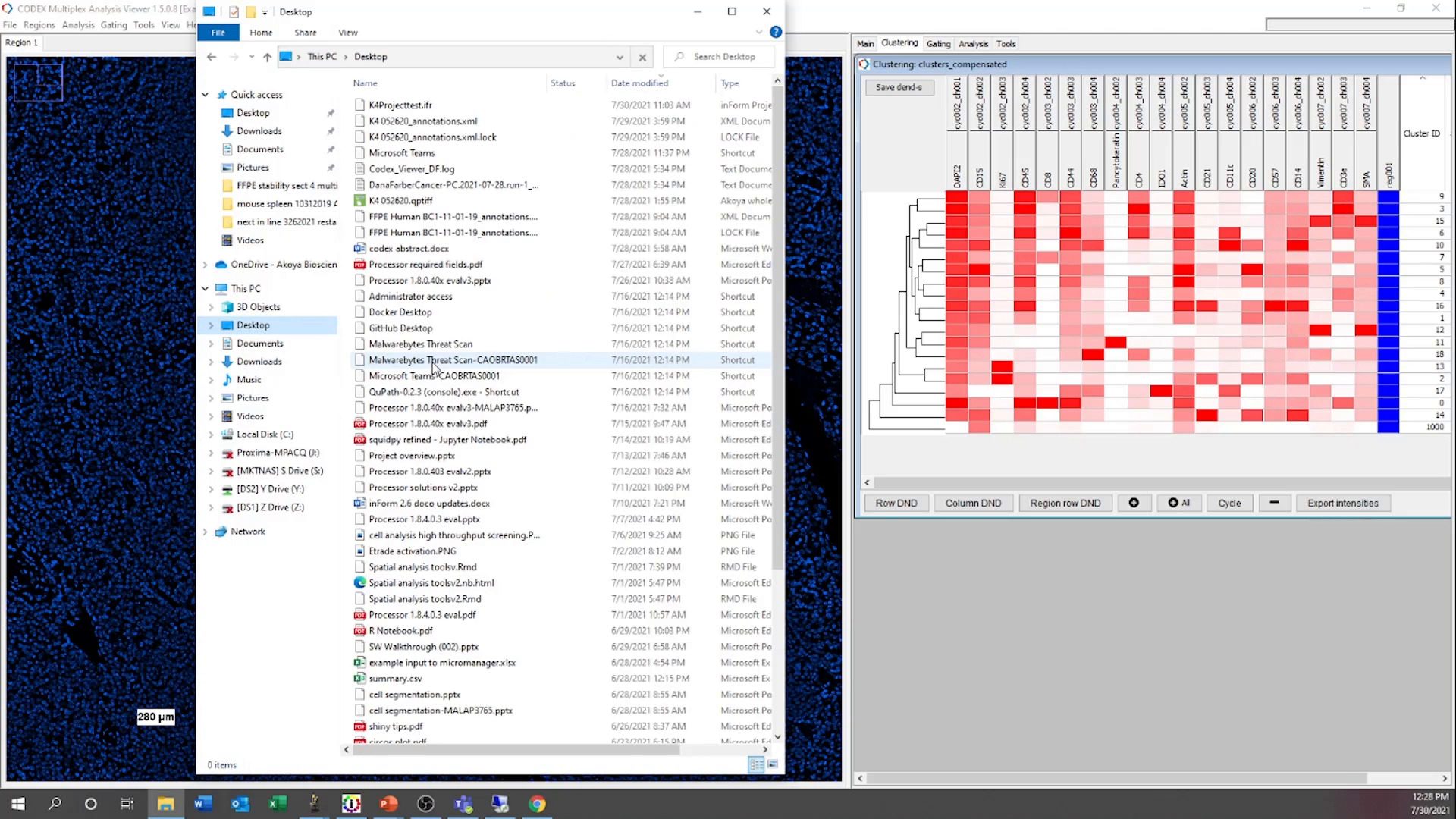video-codex-with-seurat-a-high-dimensional-approach-to-unlocking-spatial-insights