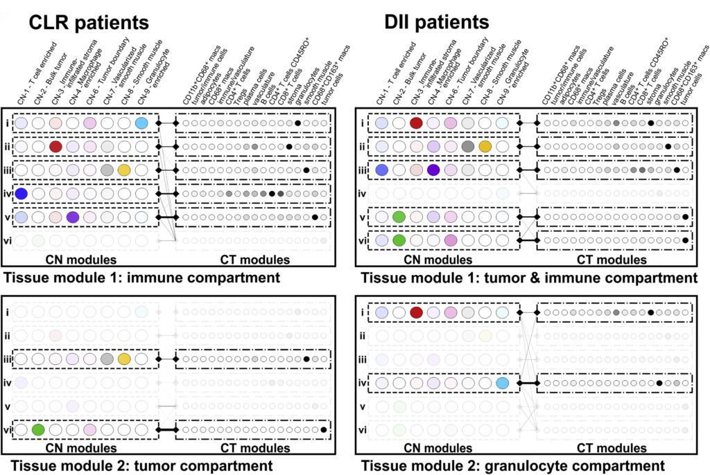 cell neighborhoods tissue modules