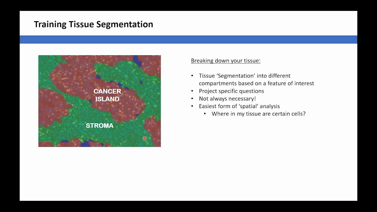 video-Image-Optimization