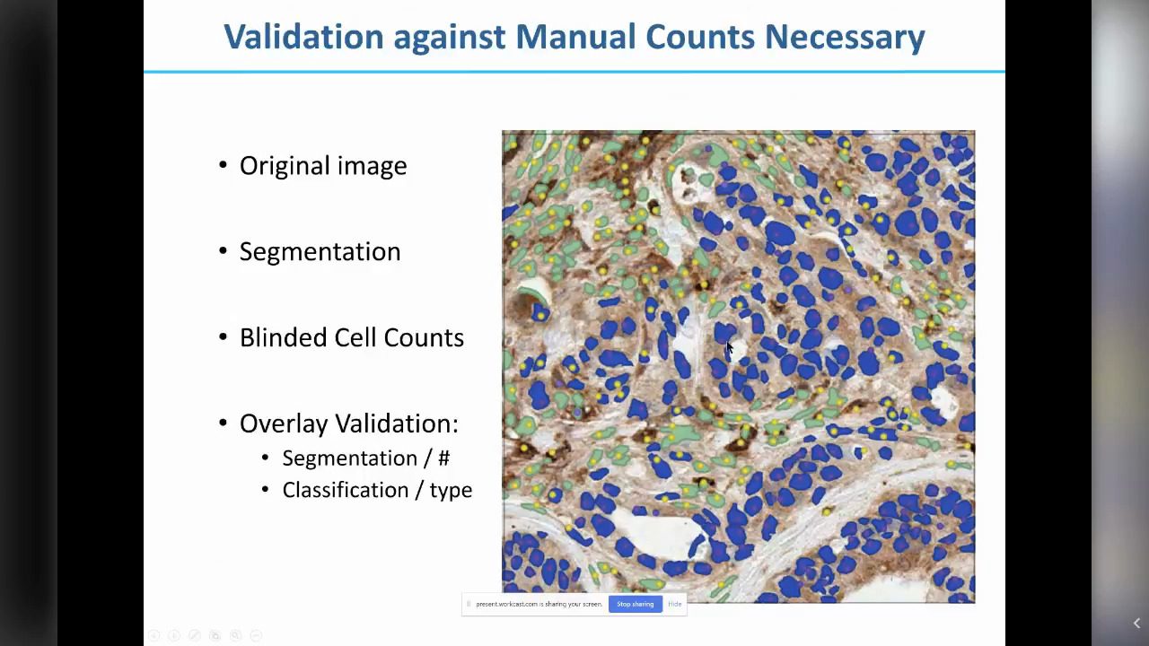 video-Validating-and-Extracting