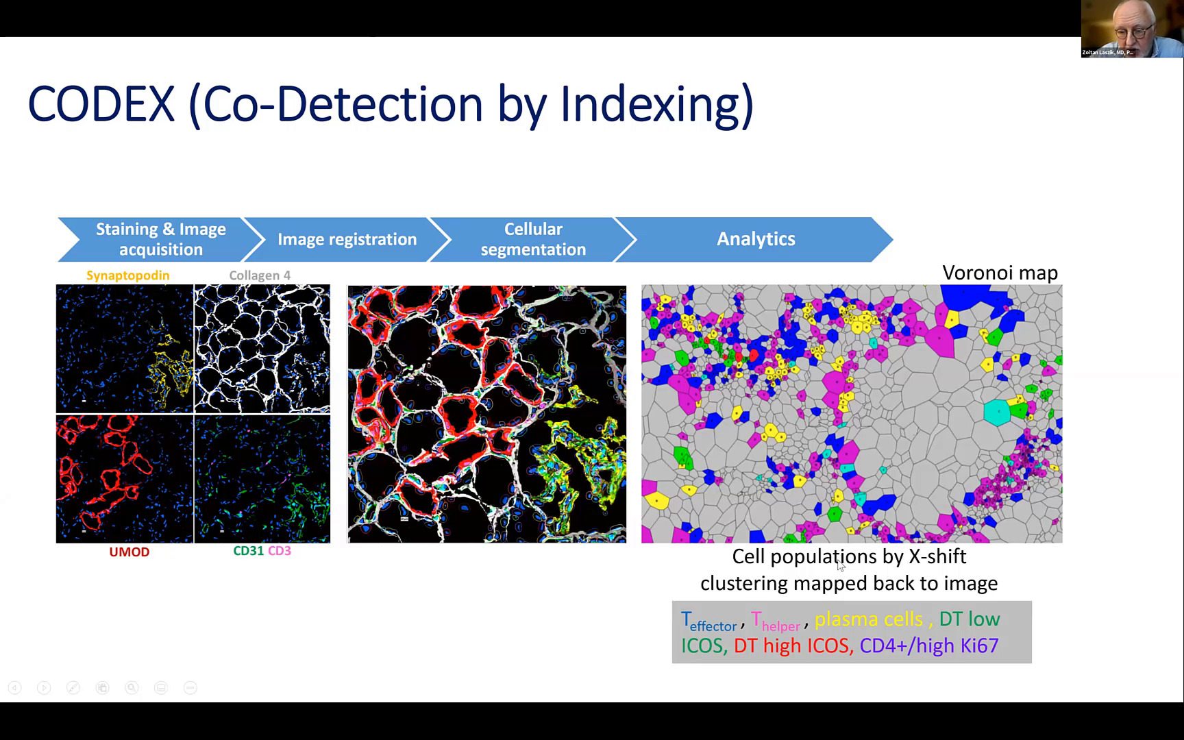 video-the-kidney-under-the-microscope-with-phenocycler-deep-dive-into-high-dimensional-in-situ-multiplexing