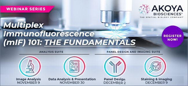 webinarthumbnail mif 101