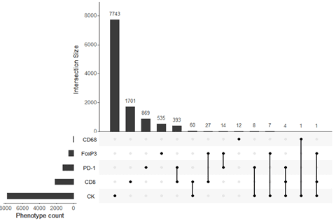 Automated Phenotype Reporting