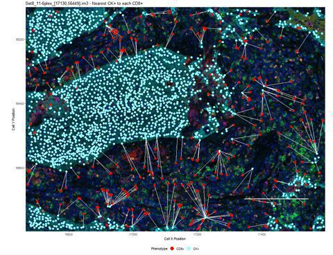 Phenotypic Spatial Mapping