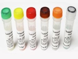 opalfluors