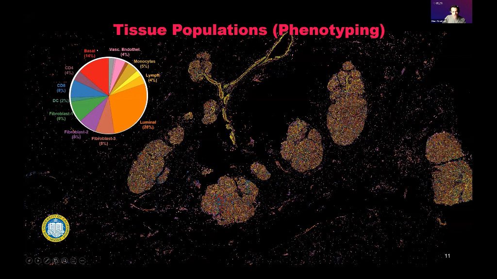 video-talk-1-single-cell-spatial-phenotyping-fueling-the-next-wave-of-discovery-biology