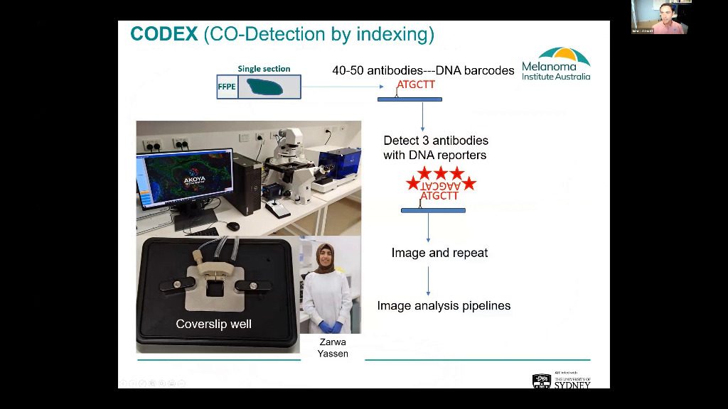 video-talk-7-multiplex-imaging-of-immunotherapy-treated-melanoma