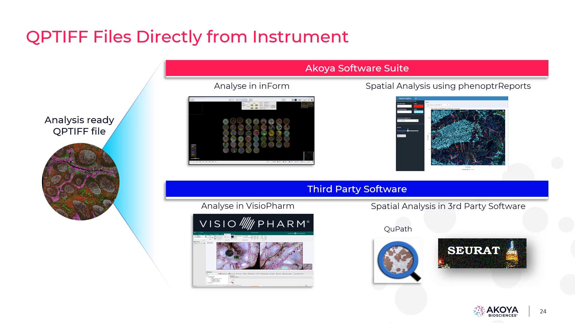 video-phenoimager-solutions-bringing-speed-and-scale-to-the-forefront-of-multiplex-imaging-and-spatial-phenotyping
