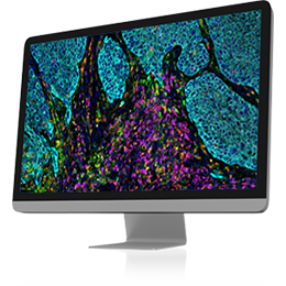 image analyze