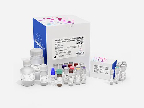 img PhenoCode Signature Activated TIL Status Panel