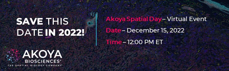 Spatial Day 2022 banner 20221208