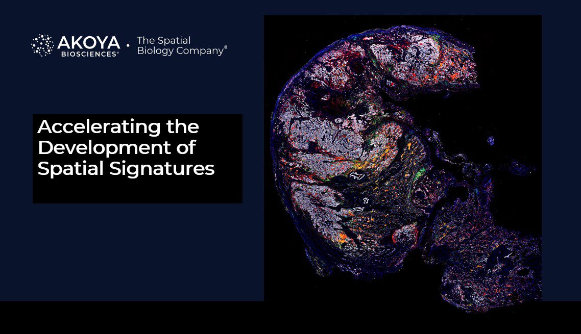 video-phenocode-signature-virtual-launch-event