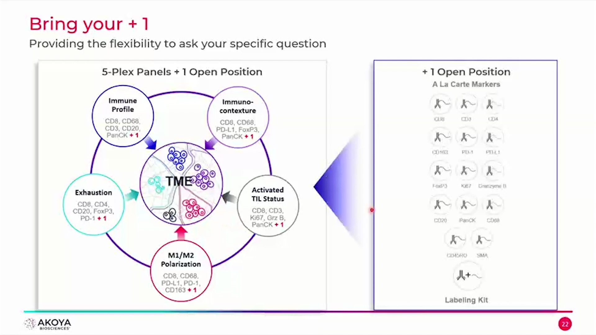 video-rapid-development-of-spatial-signatures-as-predictive-biomarkers-for-immunotherapy-response