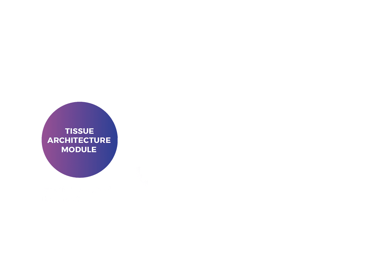 default left group2