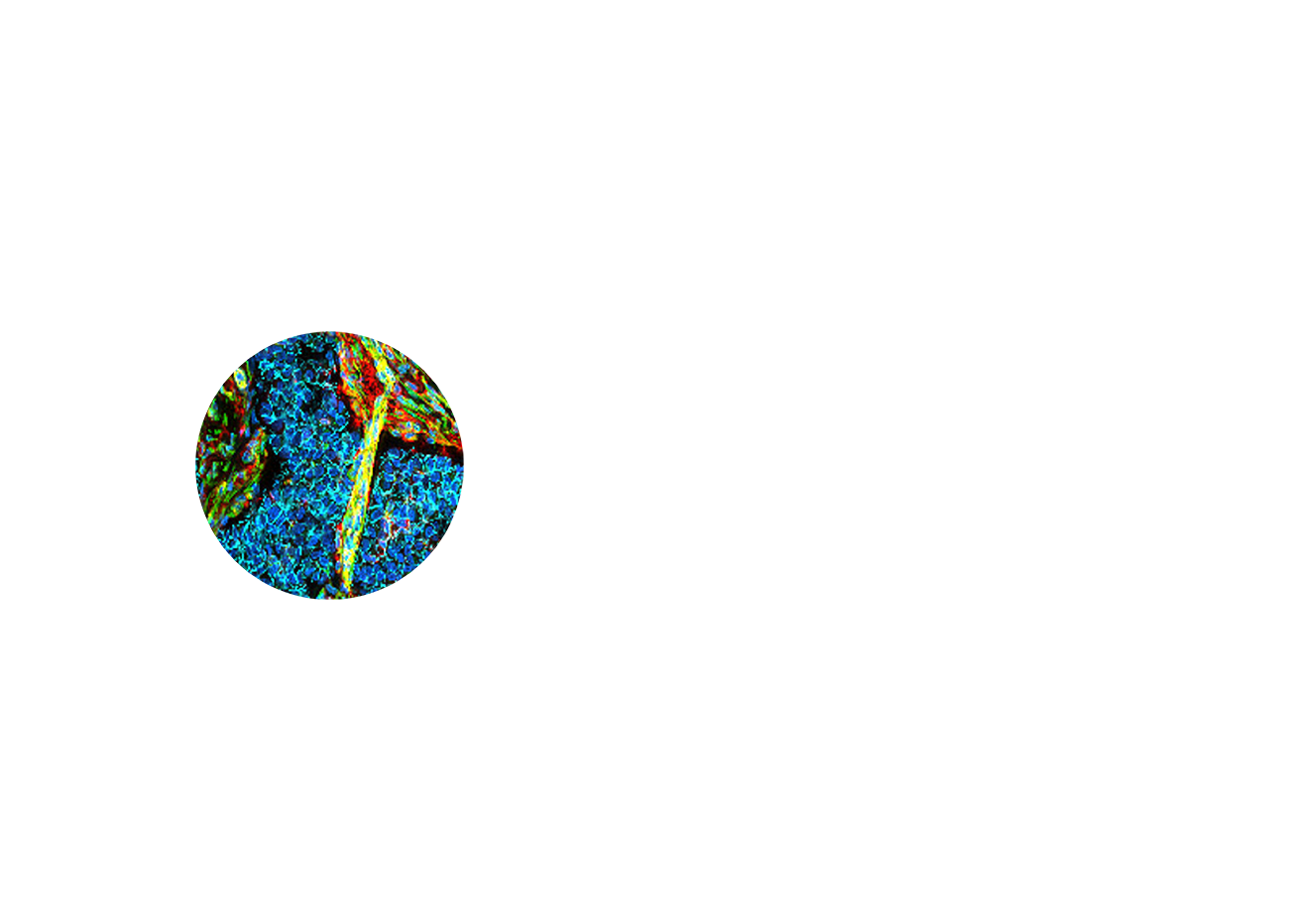 pdp left small circle 1300x932 1