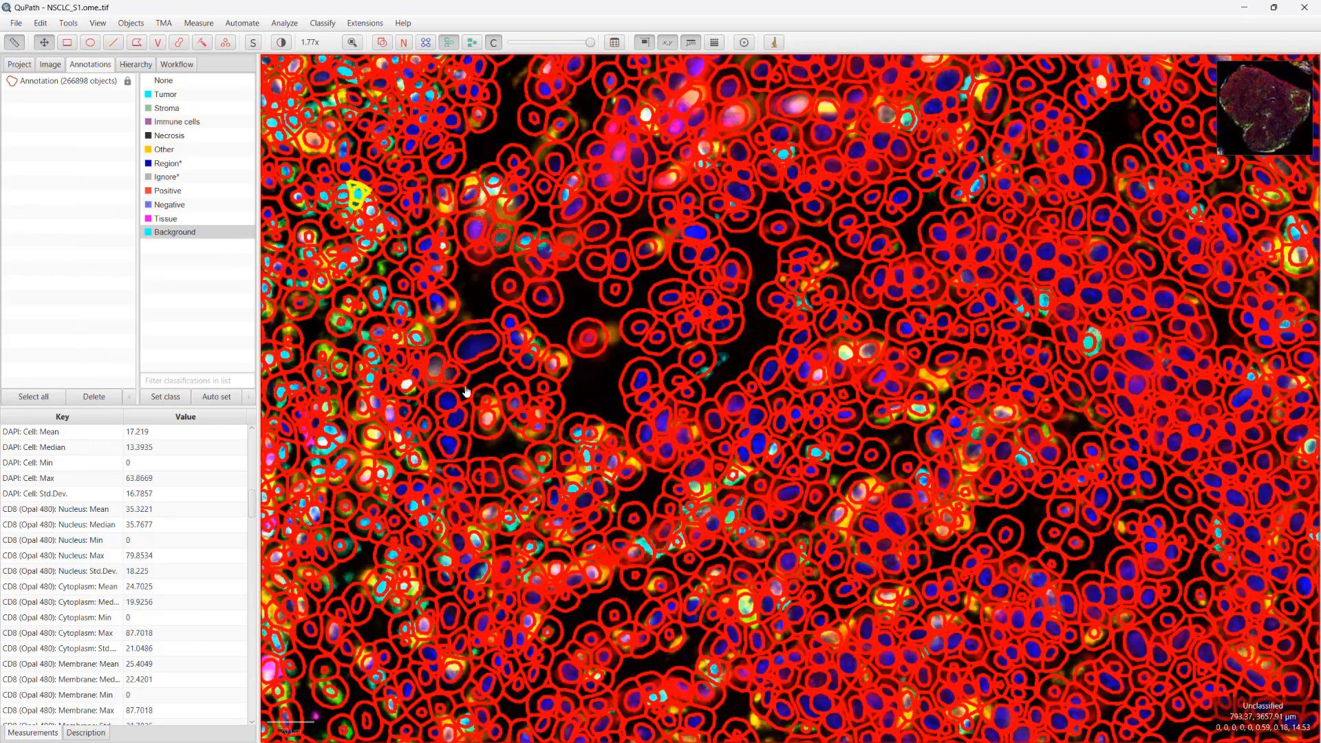 video-phenoimager-data-analysis-using-qupath-and-python