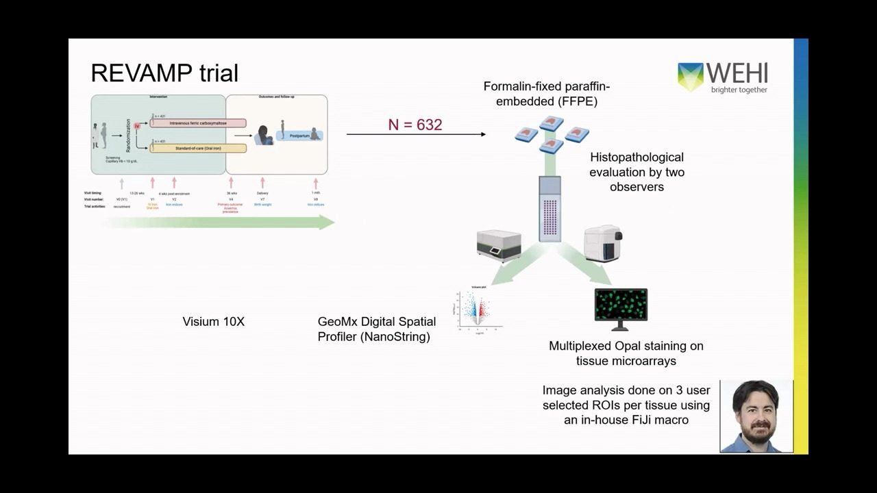 video-AU-spatial2023-the-activation-status-and-spatial-distribution-of-hofbauer-cells-in-malawian-placentas