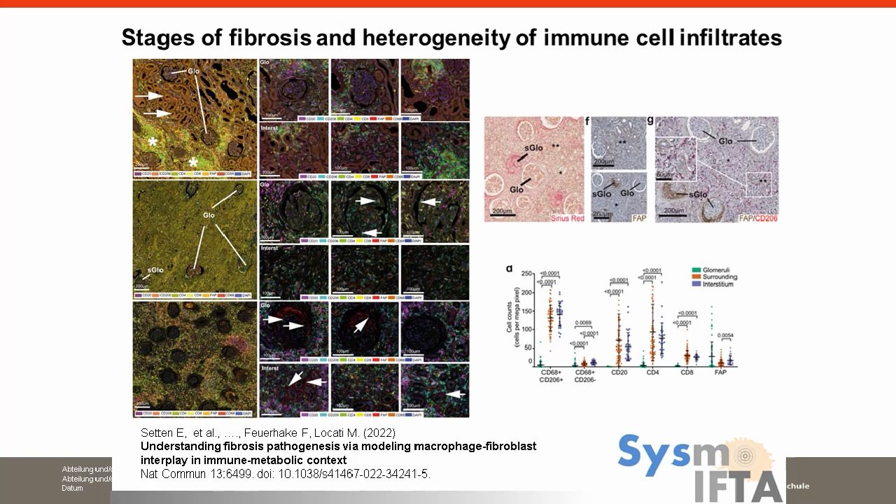 video-Examining-multiplexed-immunochemistry-in-translational-research-and-systems-medicine
