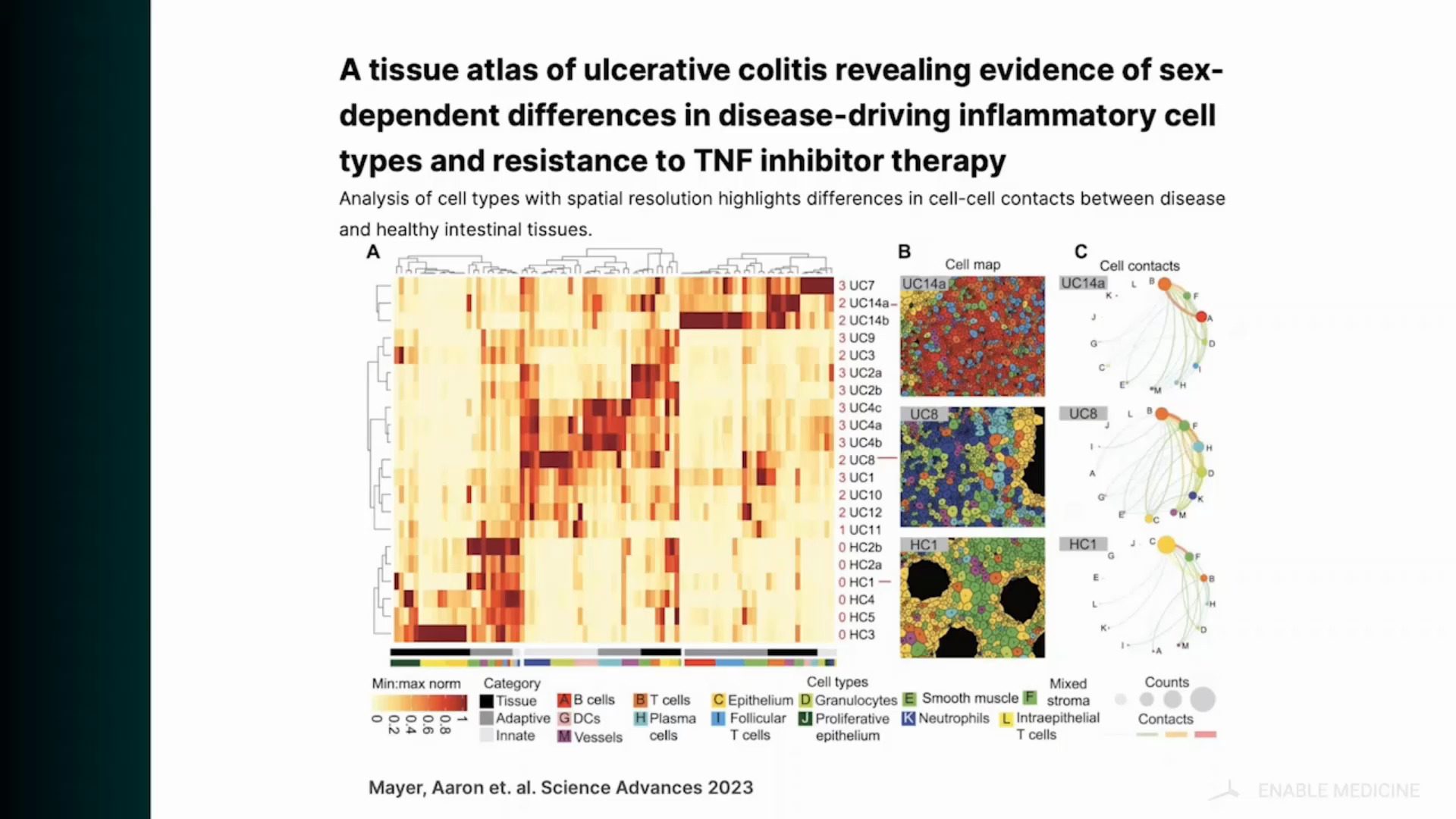 video-from-images-to-insights-deep-spatial-phenotyping-reveals-disease-and-treatment-biomarkers