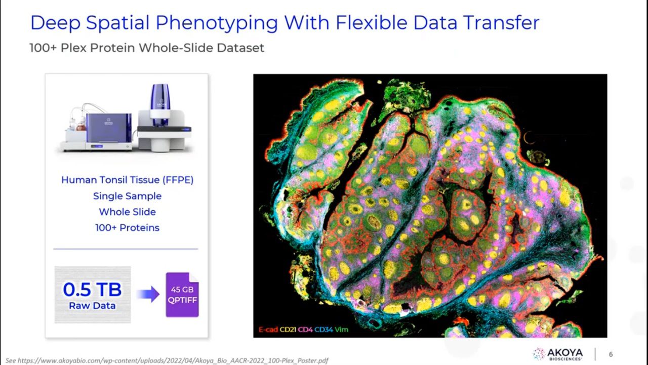video-phenocycler-analysis-solutions-exploring-the-akoya-analysis-ecosystem