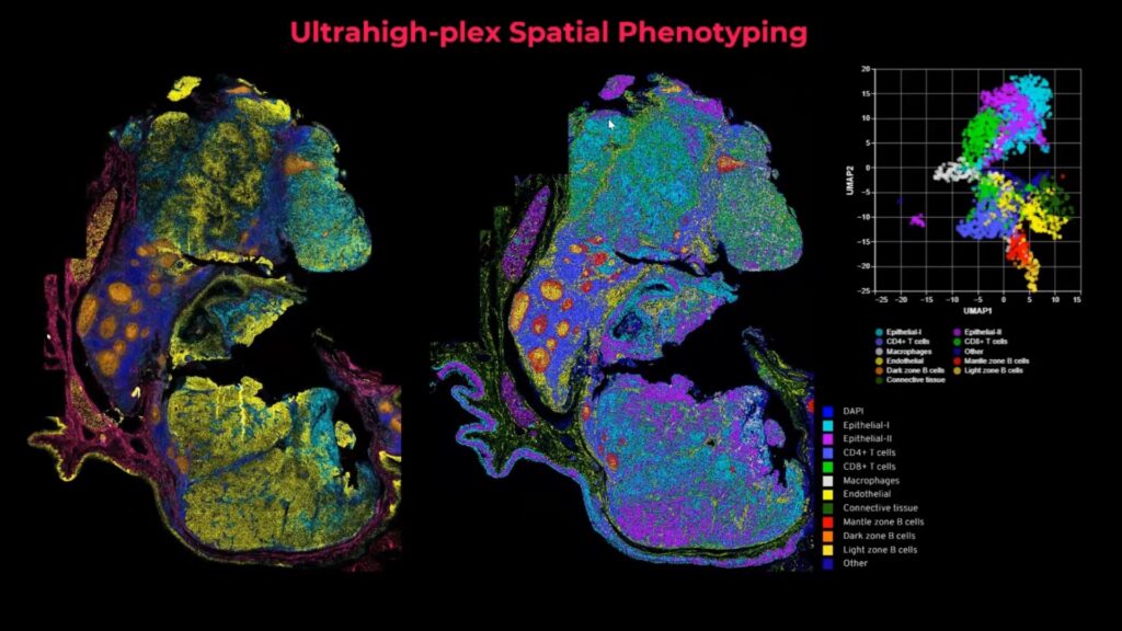 video-Spatial-Phenotyping-A-Revolutionary-Approach-to-Biomarker-Discovery-for-Cancer-Immunotherapy