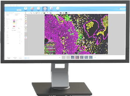 PhenoImager Analyze