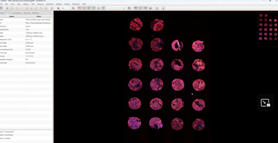 Webinar Introducing PhenoImager HT 2.0