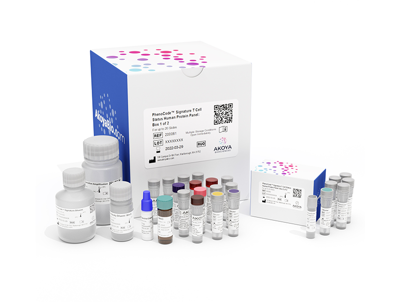 t cell kit