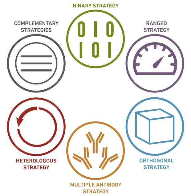 Antibody Validation Wheel @2x image