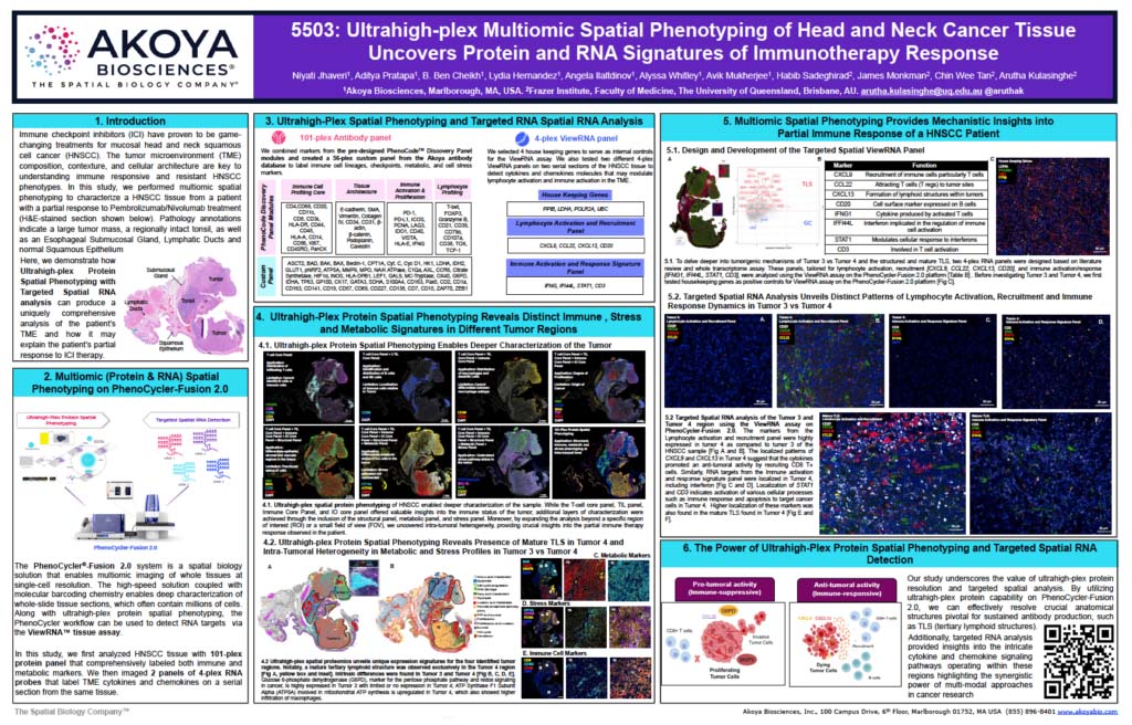 Click to download AACR 2024 poster 5503 1024x656 image
