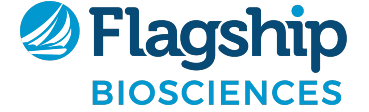 Flagship logo