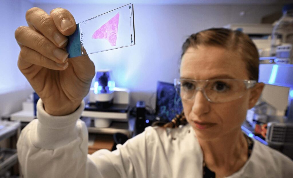 Unveiling Secrets of the Past with Spatial Biology Associate Professor Kirsty Short of The University of Queensland compressed image