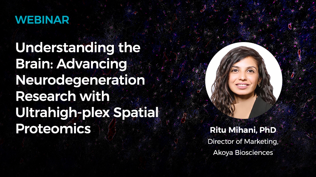 Webinar Neuroscience 20250923