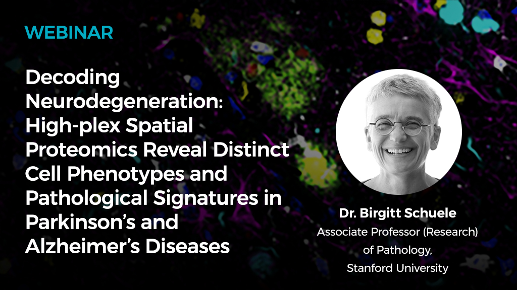 Webinar Neuroscience 20251008