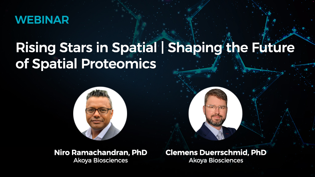 Webinar Rising Stars in Spatial 20050327