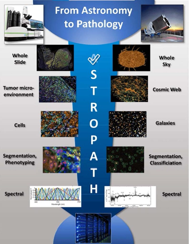 astronomy to pathology image @2x