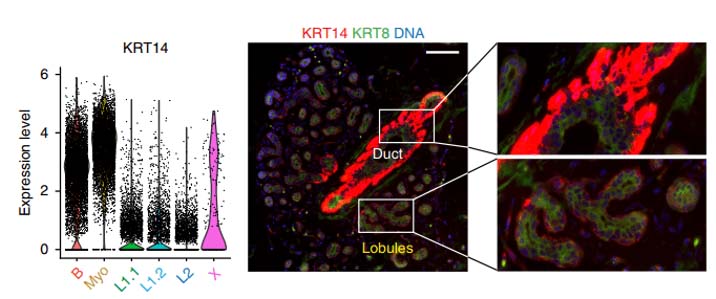 breast ca panel naturecomm results @2x image