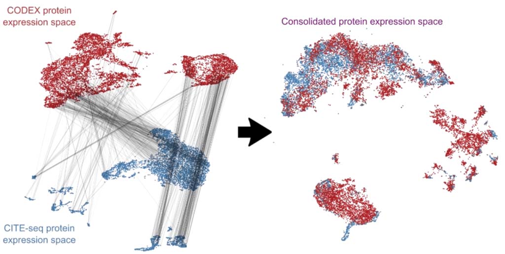 codex cite seq expression space